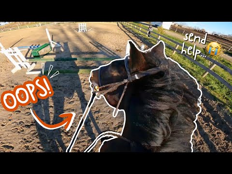 Видео: Приближаются осенние финалы… И она меня проверяет 😭