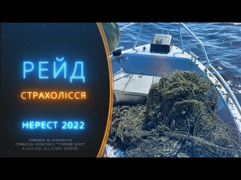 Видео: Рибоохоронний рейд: Страхолісся