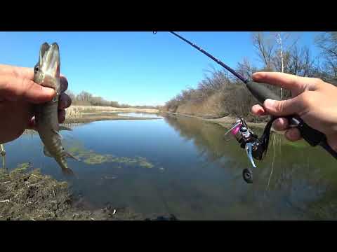 Видео: В этих озёрах #мормышка ловит всё подряд. #рыбалка на #ультралайт #мормышинг
