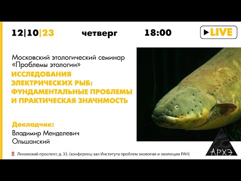 Видео: Семинар «Исследования электрических рыб: фундаментальные проблемы и практическая значимость»