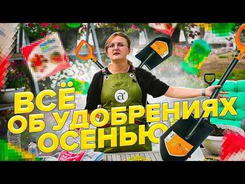 Видео: КАКИЕ УДОБРЕНИЯ ВНОСИТЬ В  ПОЧВУ ОСЕНЬЮ, в СЕНТЯБРЕ?