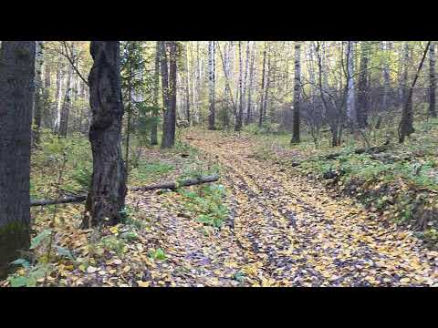 Видео: Тест режимов видео samsung s25 ultra hdr 0.6, 1 без hdr, 264