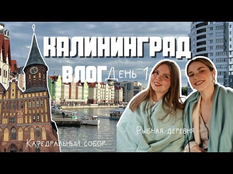 Видео: Влог из Калининграда: Кафедральный собор, рыбная деревня, Штайндам99 Мадам Буше, Калининград за день