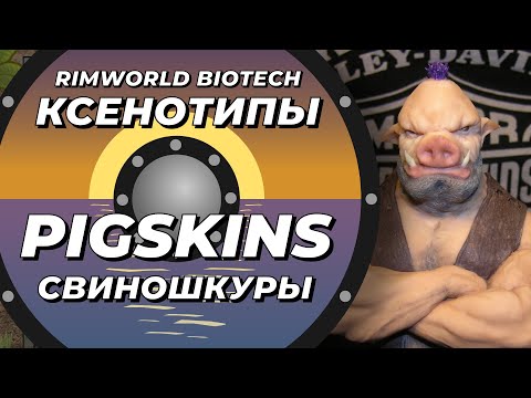 Видео: Расы Rimworld - Pigskins или свиношкуры - DLC Biotech