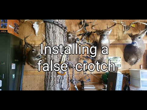 Видео: Установка ложной развилки Preset на деревьях без сучьев