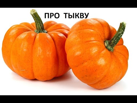 Видео: Про тыкву.