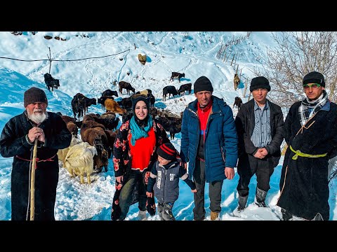 Видео: Узбекистан! СУРОВАЯ ЗИМА в ТАДЖИКСКОМ кишлаке! Как ЖИВУТ ЛЮДИ?! Ночная дорога! Шурпа, Самса