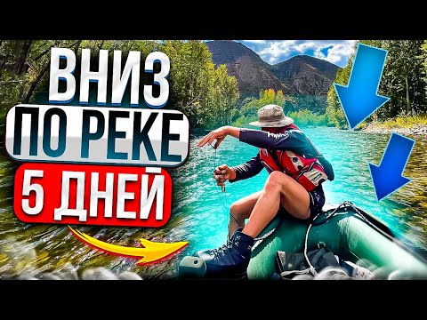 Видео: Рыбалка!Красоты Казахстана, сплав по реке Курчум! Ловим хариуса и ленка.