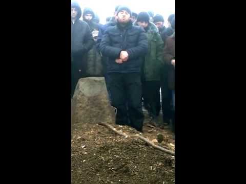 Видео: дибир махмуд