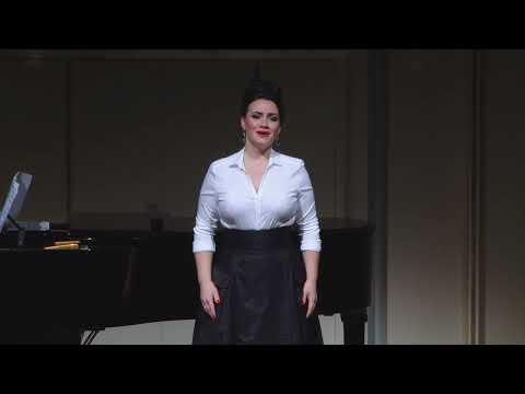 Видео: П. Чайковский "Горними тихо летела душа небесами" Галина ЗОЛЬНИКОВА & Владимир ИСАЕВ