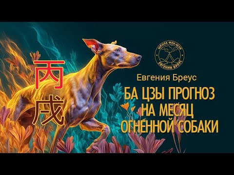 Видео: Ба-цзы прогноз на Октябрь 2025г