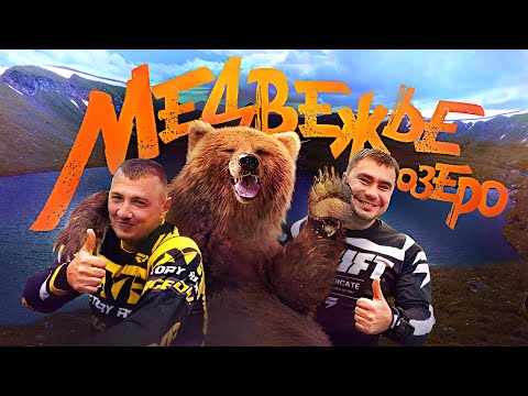 Видео: Дикие звери в горах Архыза. Новый эндуро маршрут к Медвежьему озеру