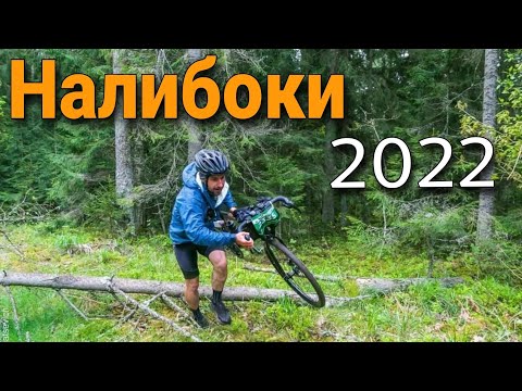 Видео: Марафон Налибоки 2022. Наш марафон