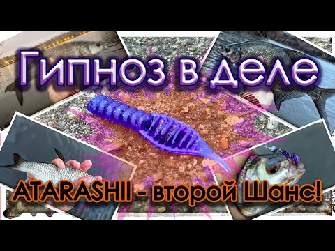 Видео: Гипноз в деле. NANO ATARASHII - второй Шанс! Мормышинг.