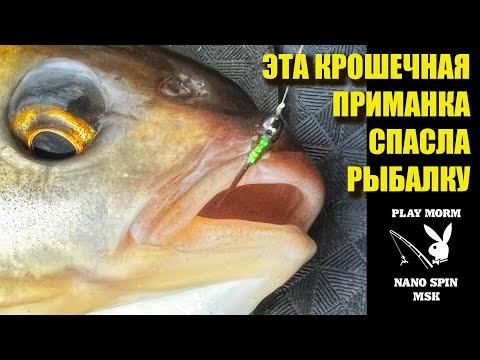 Видео: ВЕСЕННИЙ ЖОР ПЛОТВЫ / МОРМЫШИНГ / НИМФИНГ