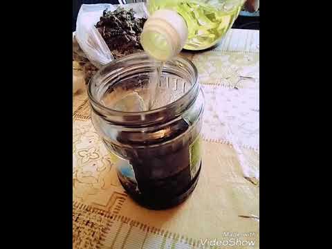 Видео: Приготовление кедровой живицы