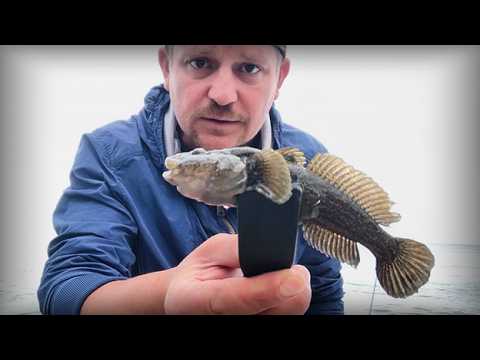 Видео: РЫБАЛКА НА ЧЕРНОМ МОРЕ | БАРАБУЛЬКА | МОРСКОЙ БЫЧОК | РОКФИШИНГ | СОЧИ 🎣🌊