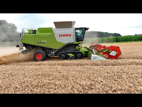 Видео: Уборка пшеницы 2023г, в Германии!  Комбайн Claas Lexion 770.