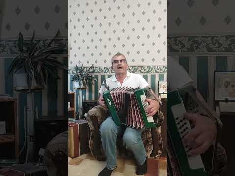 Видео: Мы бродячие Артисты.....