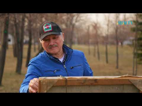 Видео: Құдіретті қылқалам.  Марат Нүсіпов