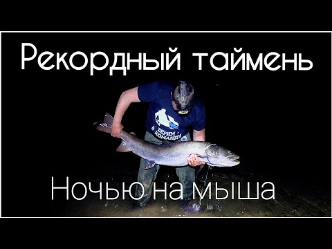 Видео: Возвращаемся от Агафьи Лыковой/Поймал огромного тайменя/Река Большой Абакан, часть #4