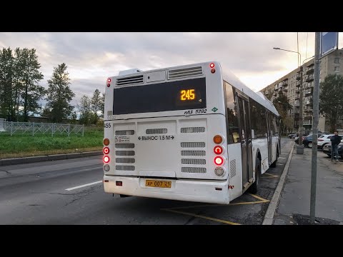 Видео: Автобус, маршрут №245 ЛиАЗ-5292.67 (CNG) б.4455 (04.10.2022) Санкт-Петербург/Красное Село