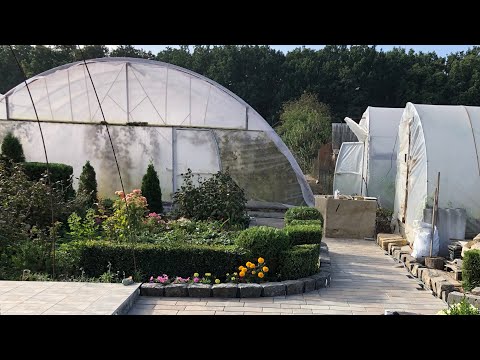 Видео: Поради по будівництву теплиці. Як збудувати теплицю з металу. 9/18 м.