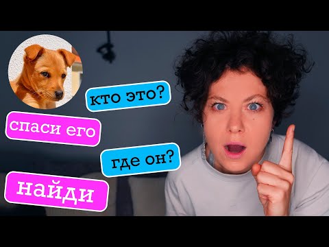 Видео: ПЕРЕПИСКА С НЕЗНАКОМЦЕМ ПРО СПАСЕНИЕ СОБАКИ