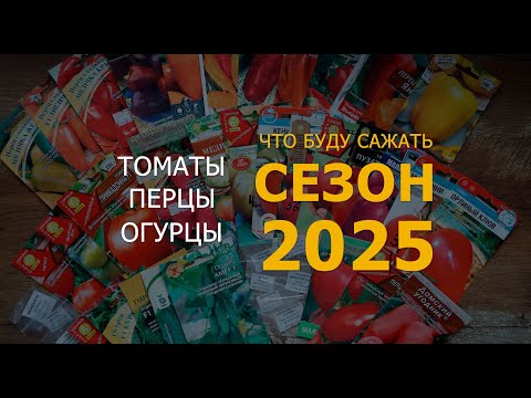 Видео: ПОДГОТОВКА К СЕЗОНУ/ЧТО ПОСАЖУ/ТОМАТЫ/ПЕРЦЫ/ОГУРЦЫ #ЛЕНИНГРАДСКАЯ ОБЛАСТЬ #САДОВОДСТВО