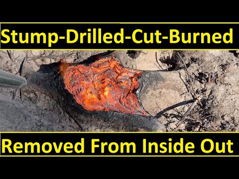 Видео: Удаление пня – сверление-отрезание-выжигание