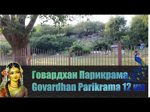 Видео: Говардхан Парикрама Govardhan Parikrama 12 км 2022