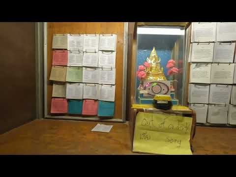 Видео: Храм обезьян в Таиланде