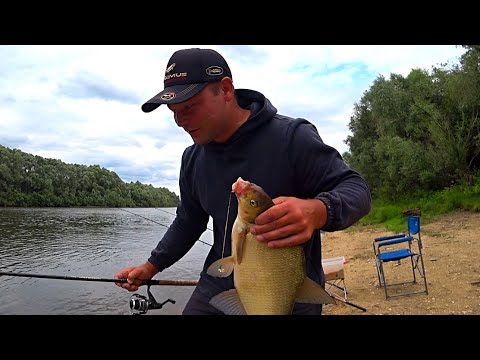 Видео: В этот раз на длинный поводок повеселее! Ловля леща на донки! Рыбалка на Оке!