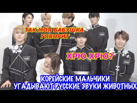 Видео: Корейские Мальчики Угадывают Русские Звуки Животных!ХРЮ ХРЮ с группой KINGDOM Кореянка Minkyungha|경하