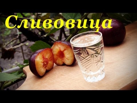 Видео: Сливовица, рецепт самогона из слив.