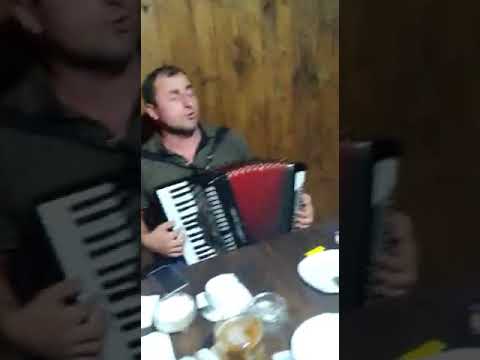 Видео: Заур мулебкинец