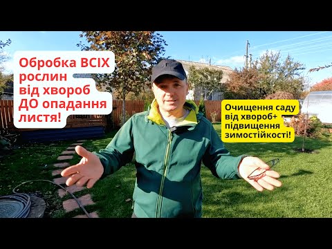 Видео: Осіння обробка саду від хвороб до опадання листя! Очищуємо сад однією обробкой.