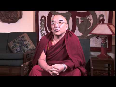 Видео: Устами учителей. Тамтог Ринпоче. История из жизни Будды