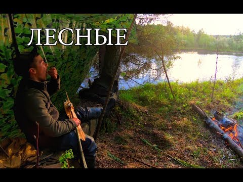 Видео: ОДИН В ТАЙГЕ С МИНИМАЛЬНЫМ СНАРЯЖЕНИЕМ | ЛОВУШКА ДЛЯ РЫБЫ | ВЕРЕВКА ИЗ КОРЫ |  РЫБАЛКА