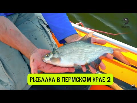 Видео: Весенний судак. Рыбалка в Пермском крае-4