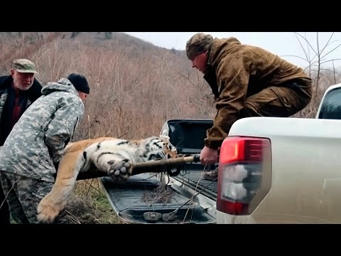 Видео: НОВОСТИ УТРА – 14 ноября 2024