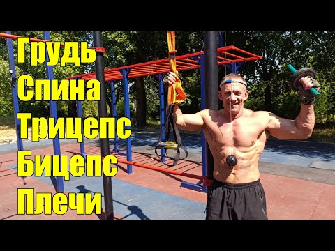Видео: как больше подтянуться и отжаться. Программа.