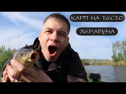 Видео: ЛОВЛЯ КАРПА НА ТЕСТО. Херабуна.