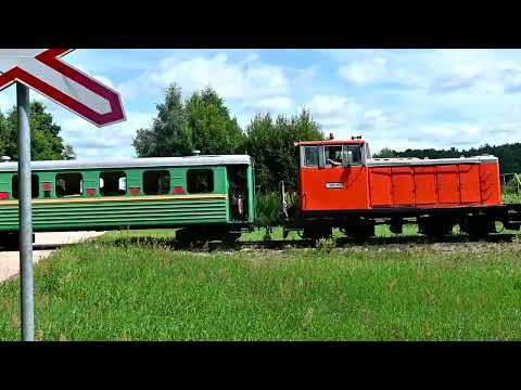 Видео: Узкоколейная железная дорога ТБЗ "Дитва"