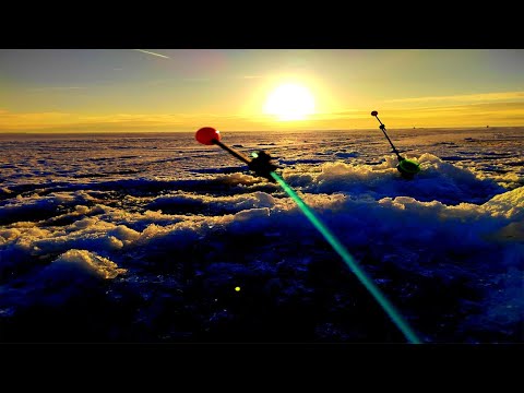 Видео: ТАРХОВКА, ЛОВЛЯ КОРЮШКИ