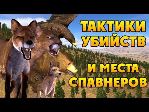 Видео: ВСЁ О ХИЩНИКАХ | WolfQuest 2.7.3