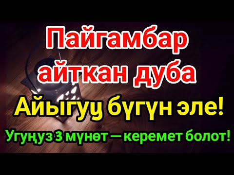Видео: МҮНӨТТӨ КЕСЕЛ ЖОГОЛОТ! Пайгамбардын Дубасы менен Шыпаа! 🌹