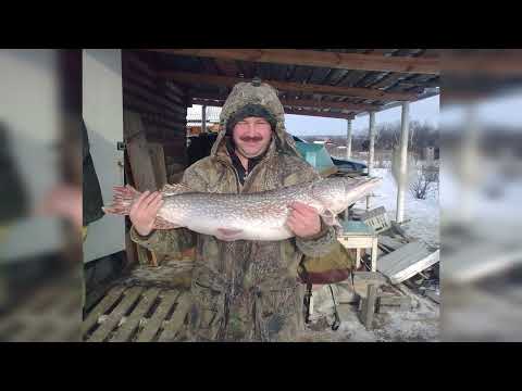 Видео: ХОЗЯЕВА ТАЙГИ. МЫ В ЛЕС НЕ ПО ДРОВА.