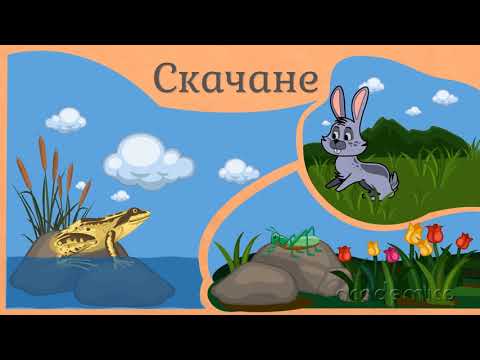 Видео: Движение на животните - Човекът и природата 3 клас | academico