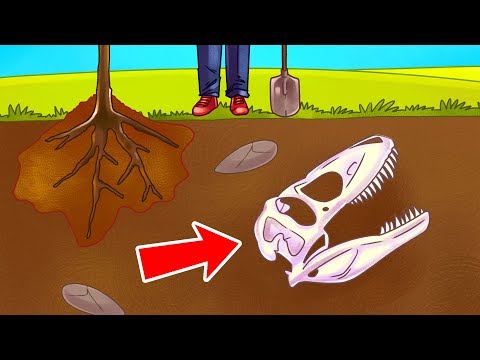 Видео: Какой была Земля до появления людей